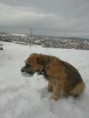 /album/vrh-a1/c360-2012-01-25-14-15-57-org-jpg/